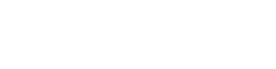 Winning Ecom Stores